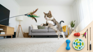 部屋の中で電動のおもちゃに向かってジャンプする猫と、画面の隅に比較用として並べられた知育玩具などの小さなおもちゃ類
